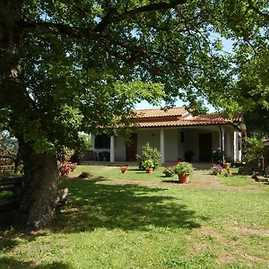 https://agriturismo-san-vincenzo.it-tuscanyhotel.com